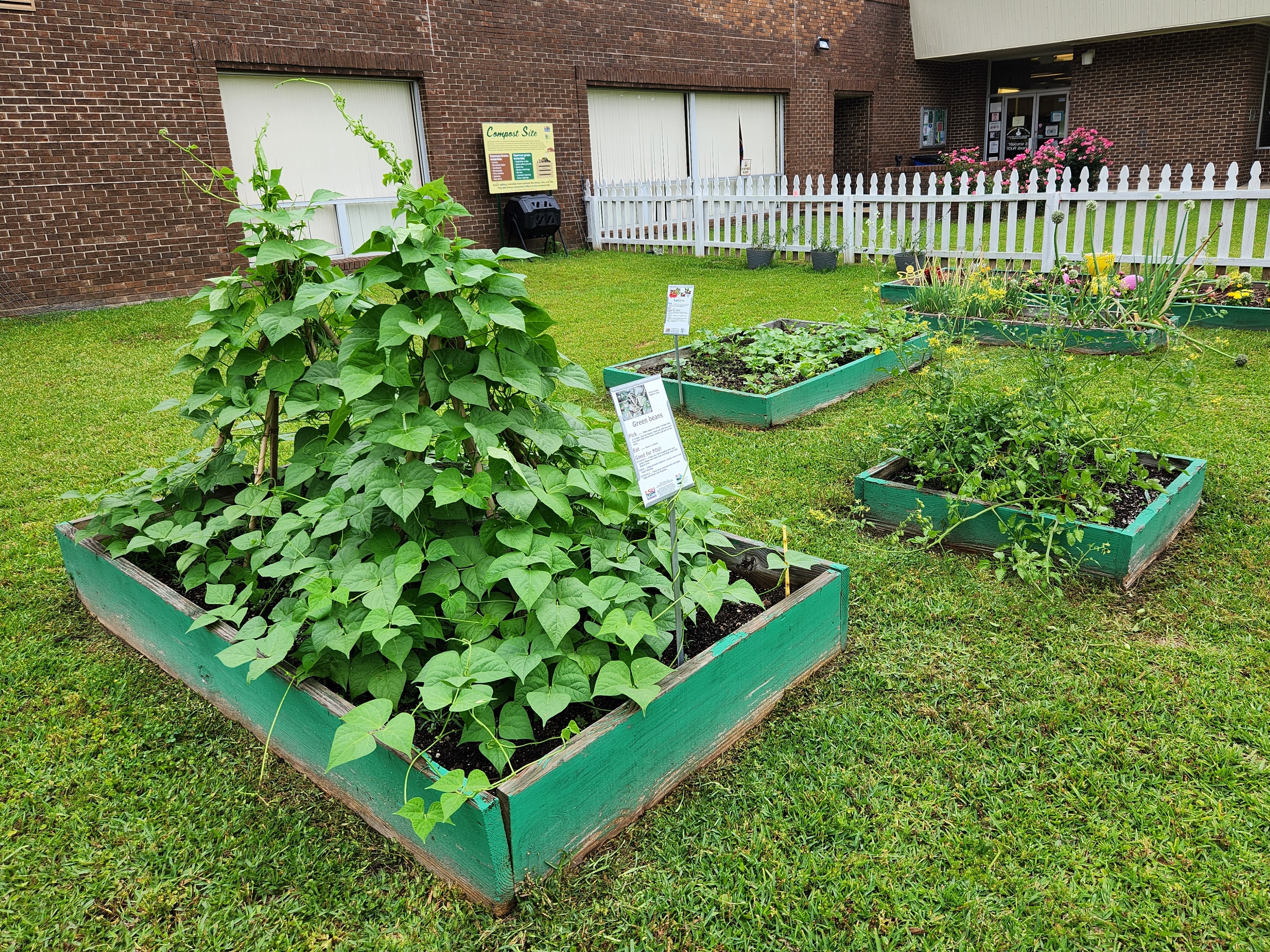 Managing Weeds in the Vegetable Garden, Part 1: Preplant Decisions