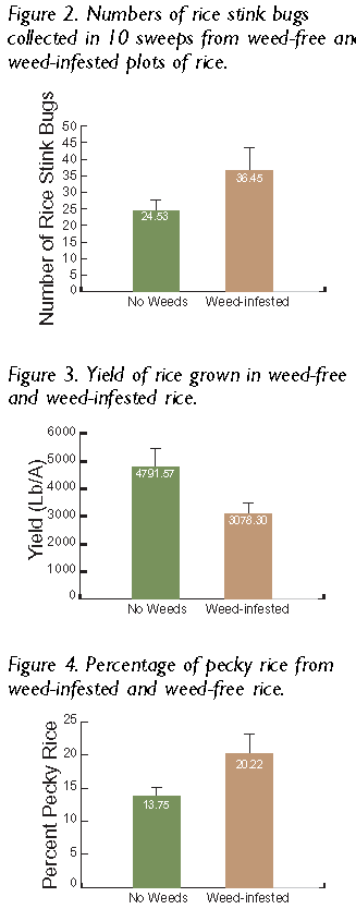 Integrating Insect and Weed Management in Rice