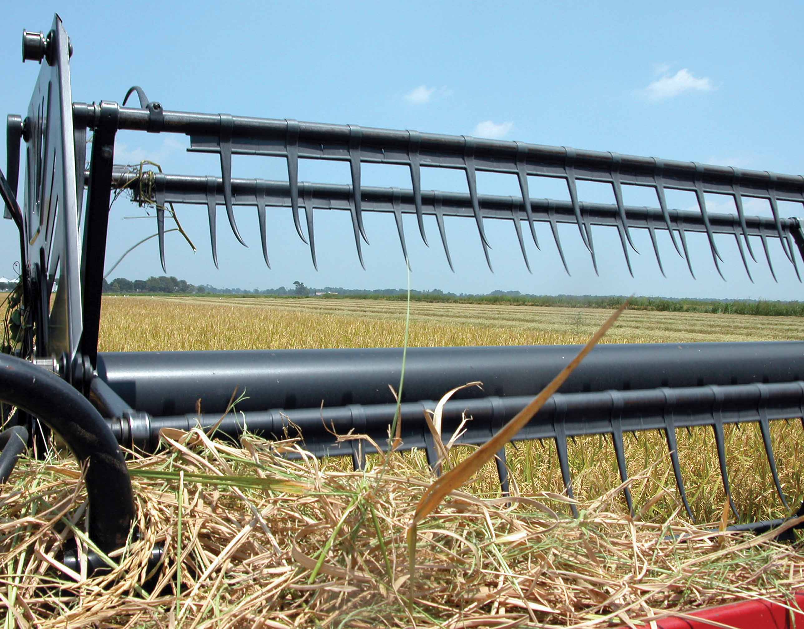 Clearfield Rice: It's Not a GMO
