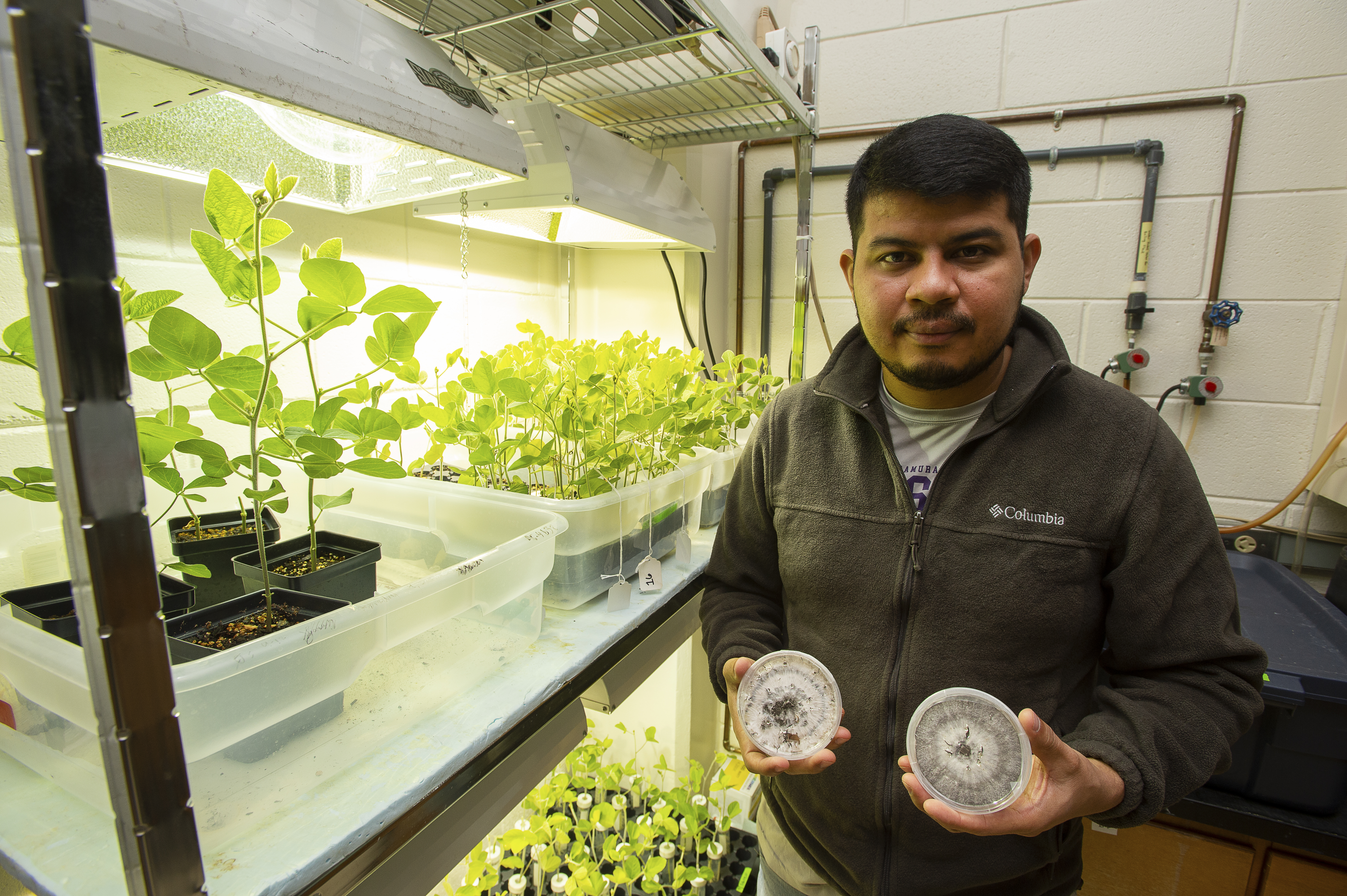 LSU student identifies, names new fungus species