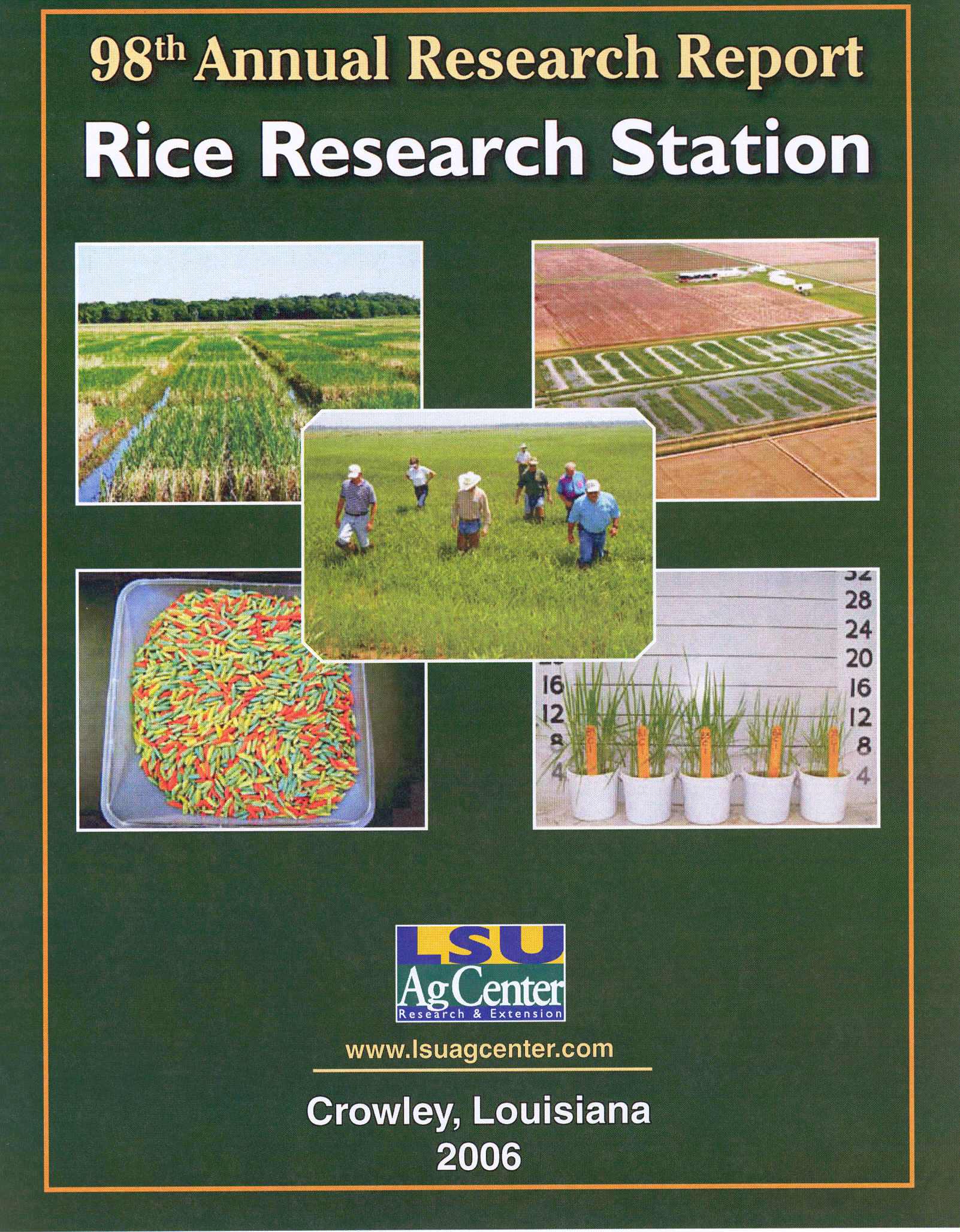 2006 Rice Research Annual Report