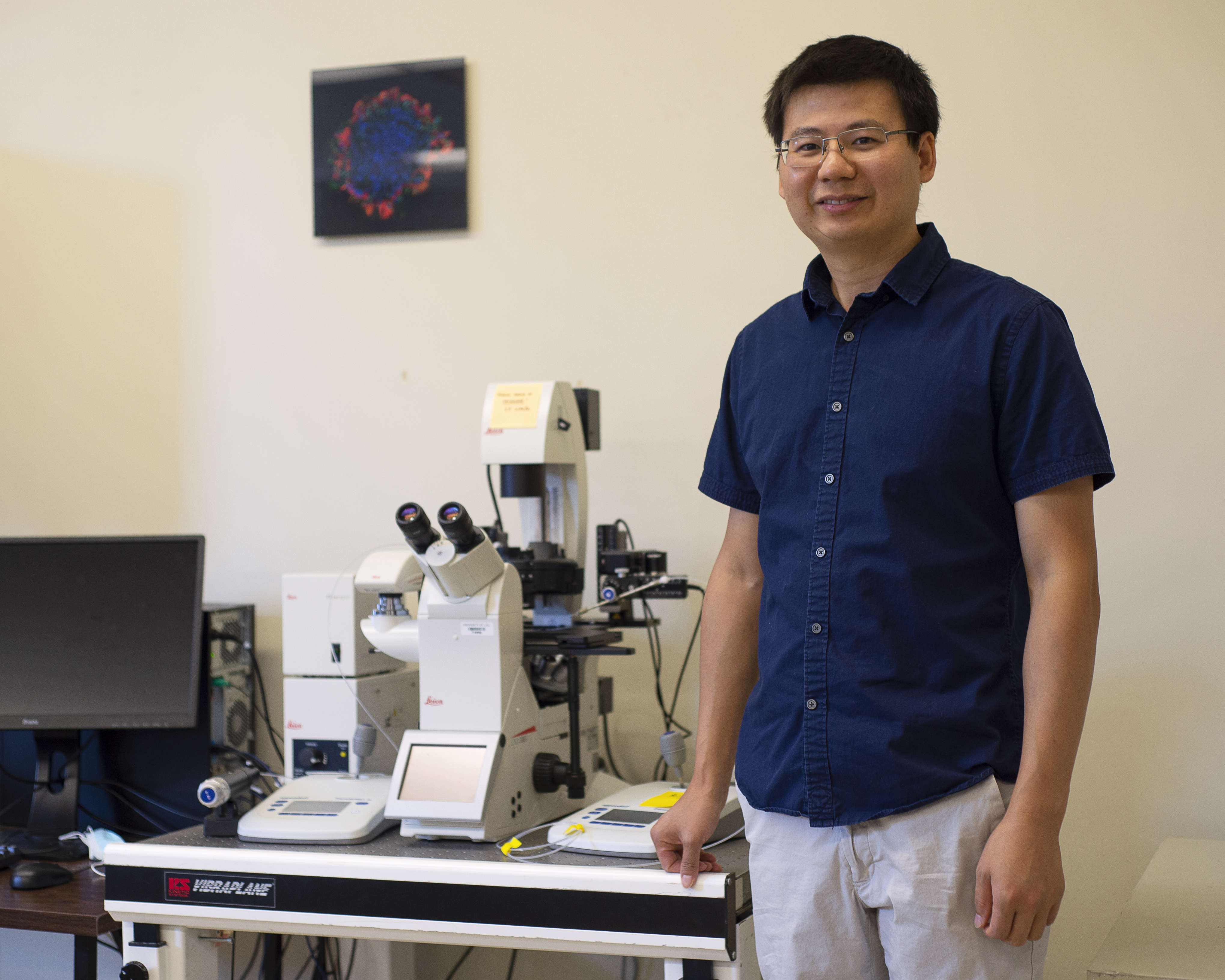AgCenter researcher receives $3.2M grant for pregnancy loss research