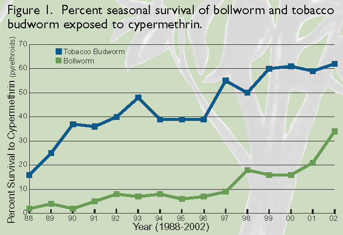 Insecticide Resistance Monitoring Programs in Louisiana Cotton