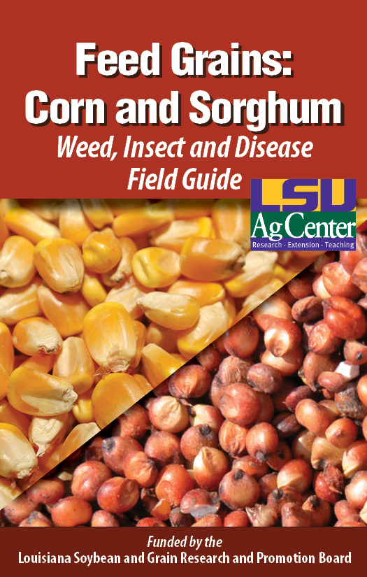 Feed Grains: Corn and Sorghum Weed, Insect and Disease Field Guide