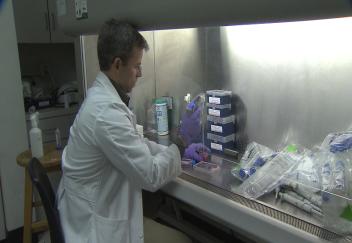 Nanotechnology researchers work to improve health agriculture