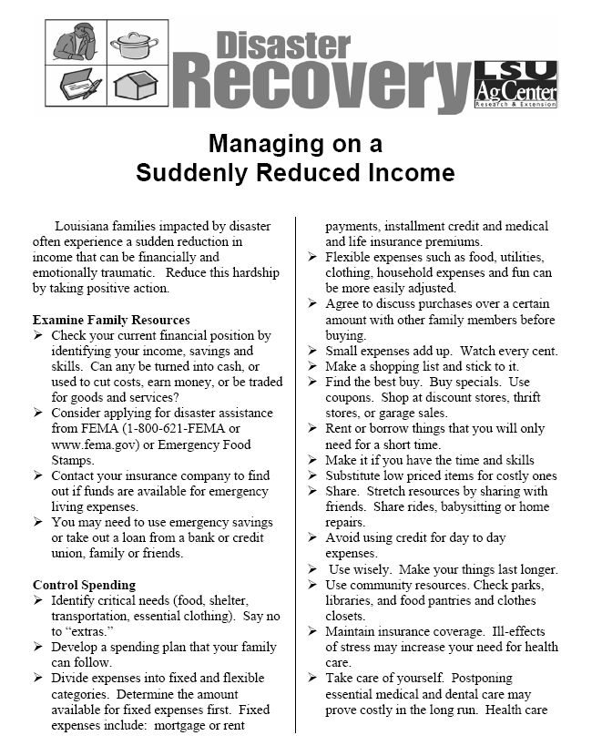 Disaster Recovery: Managing on a Suddenly Reduced Income