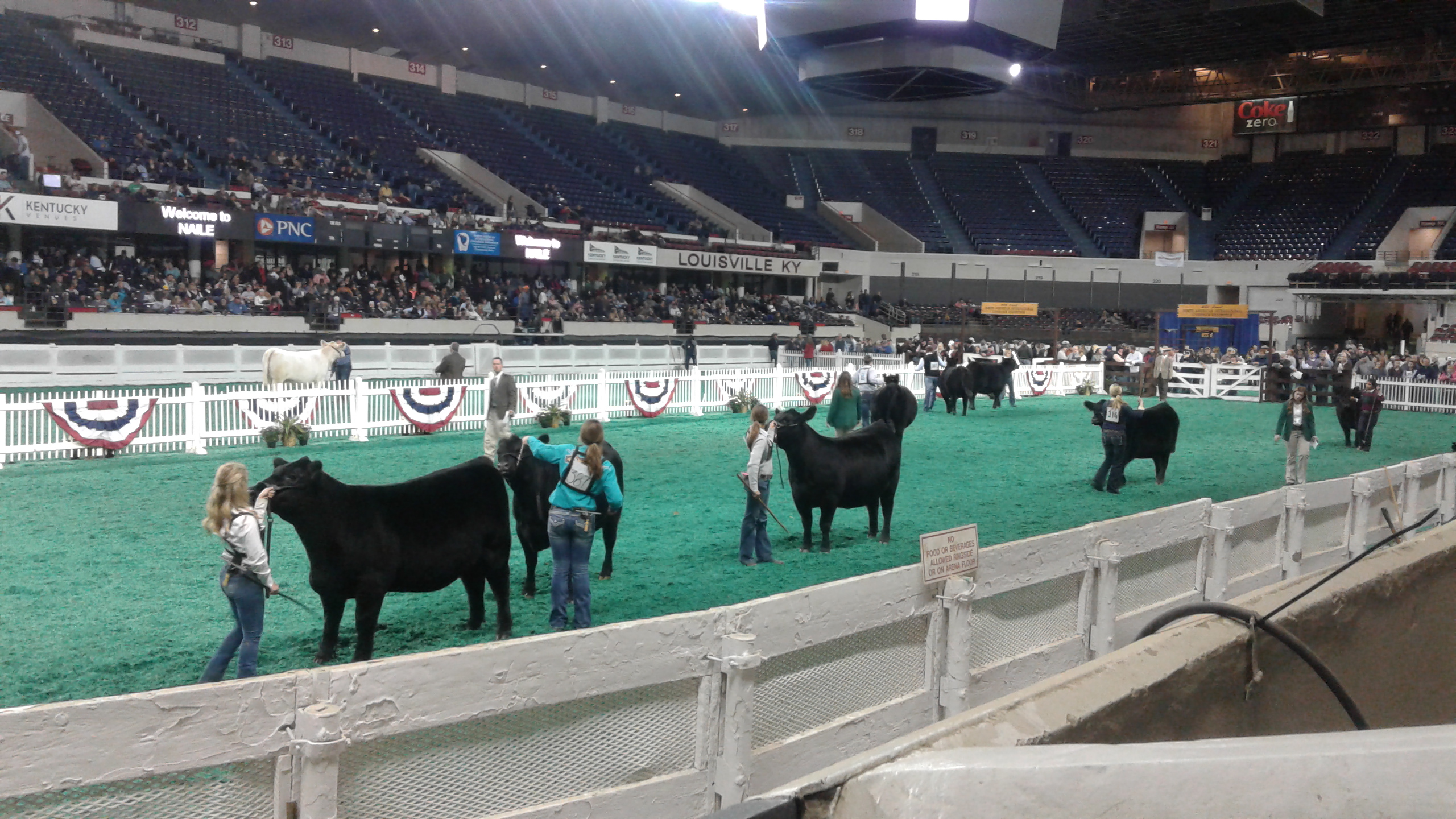 Louisiana youth attend livestock, poultry judging trip to Kentucky