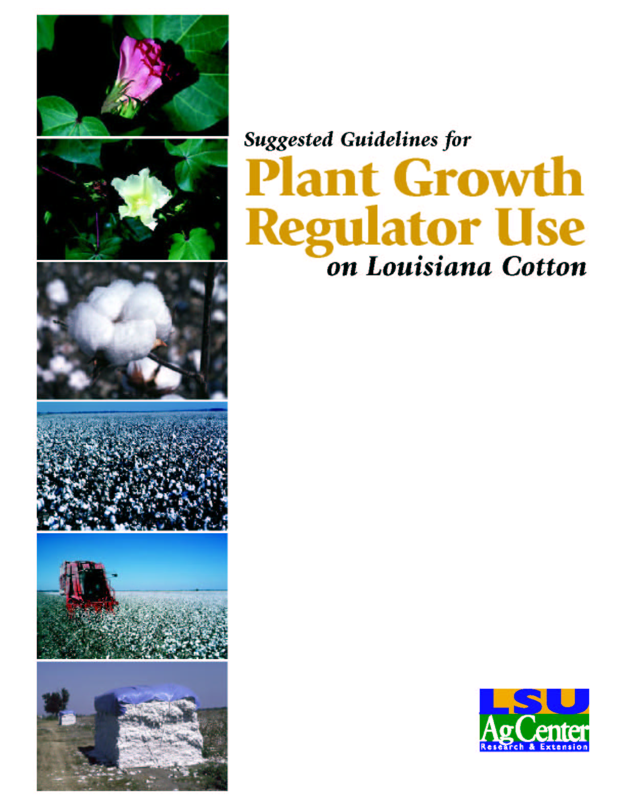 Suggested Guidelines for Plant Growth Regulator Use on Louisiana Cotton
