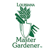 2026 Spring Library Series