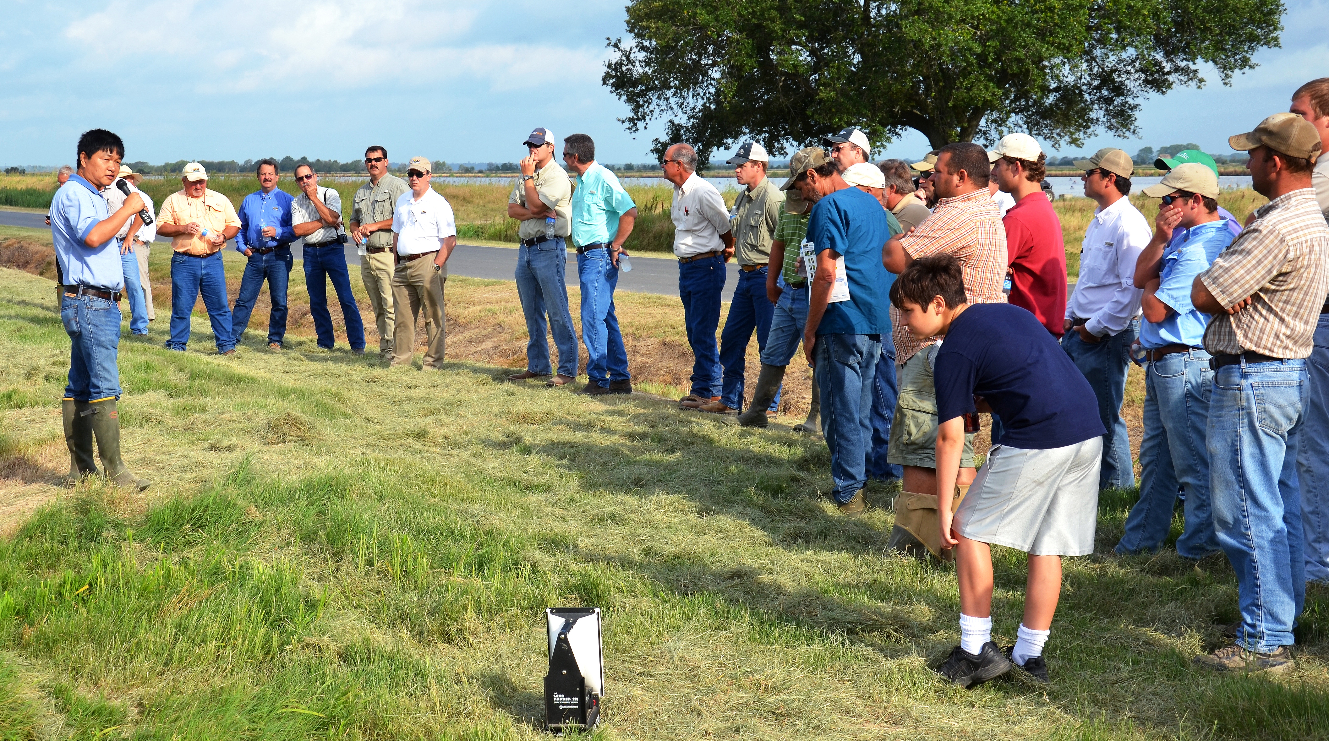New rice lines, crop conditions featured at rice field day