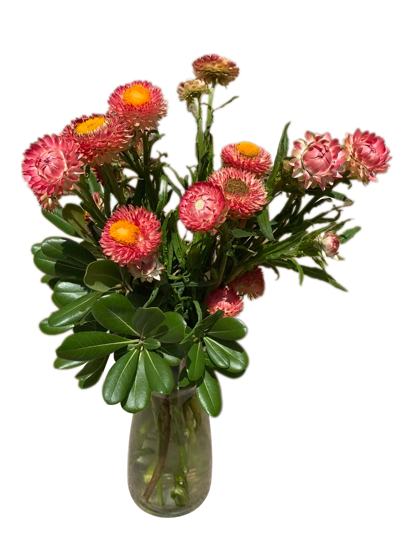 Bouquet of red flowers in a glass vase.