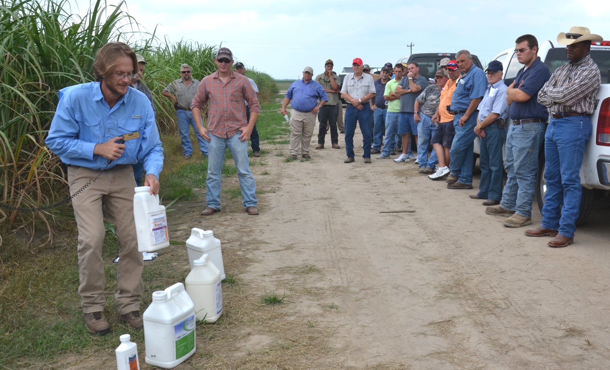 Crop update featured at sugarcane field day