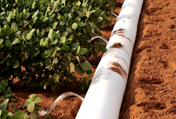Hot, dry weather causing farmers to irrigate more