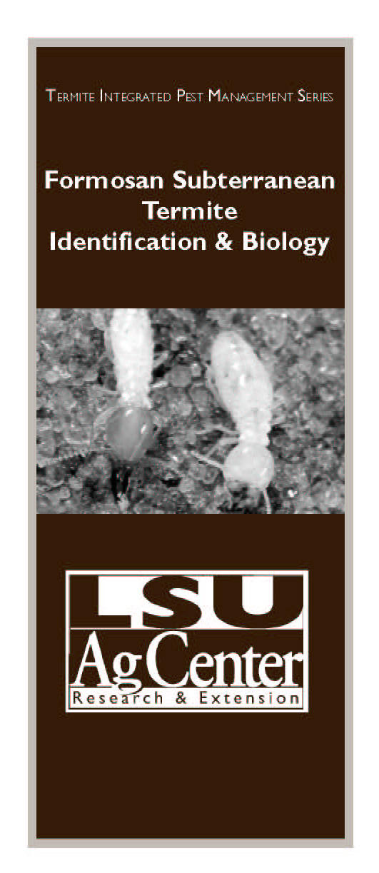 Formosan Subterranean Termite Identification & Biology