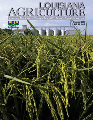 Louisiana Agriculture Magazine Summer 2005