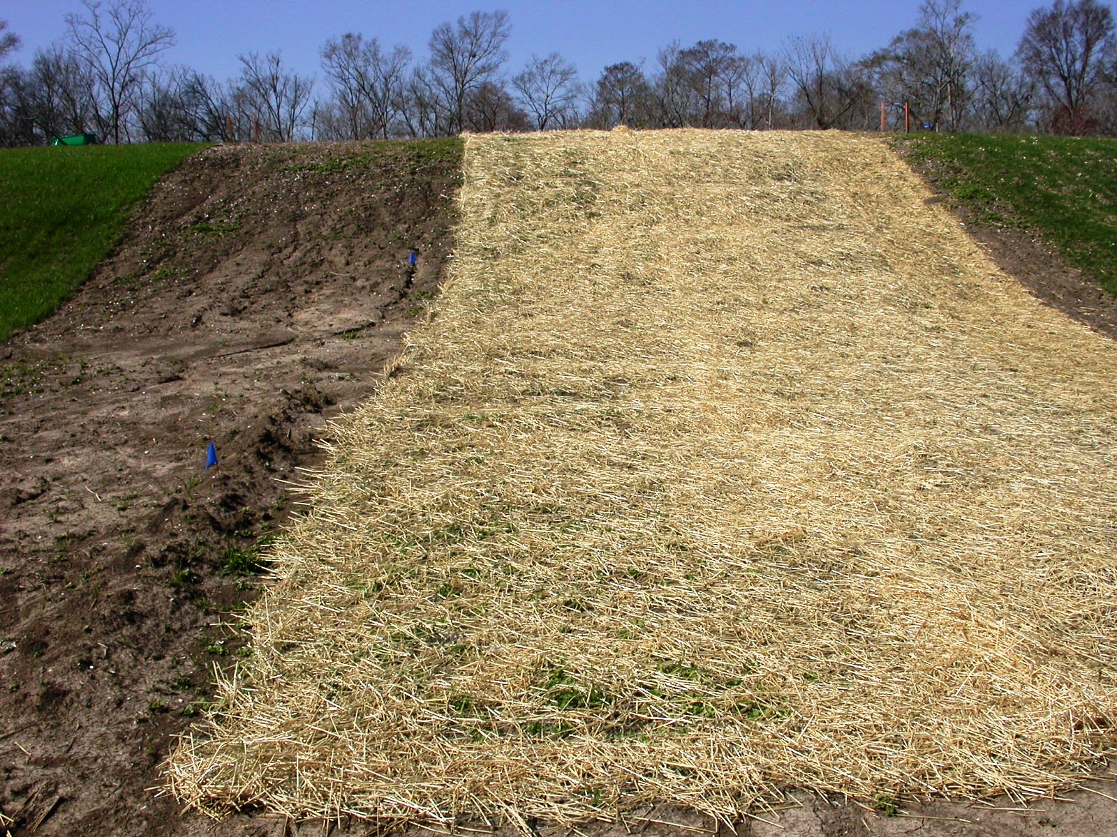 Planting Dormant Sod