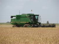 Estimating Rice Combine Harvest Cost:  Performance Rate Capital Cost Operating Cost