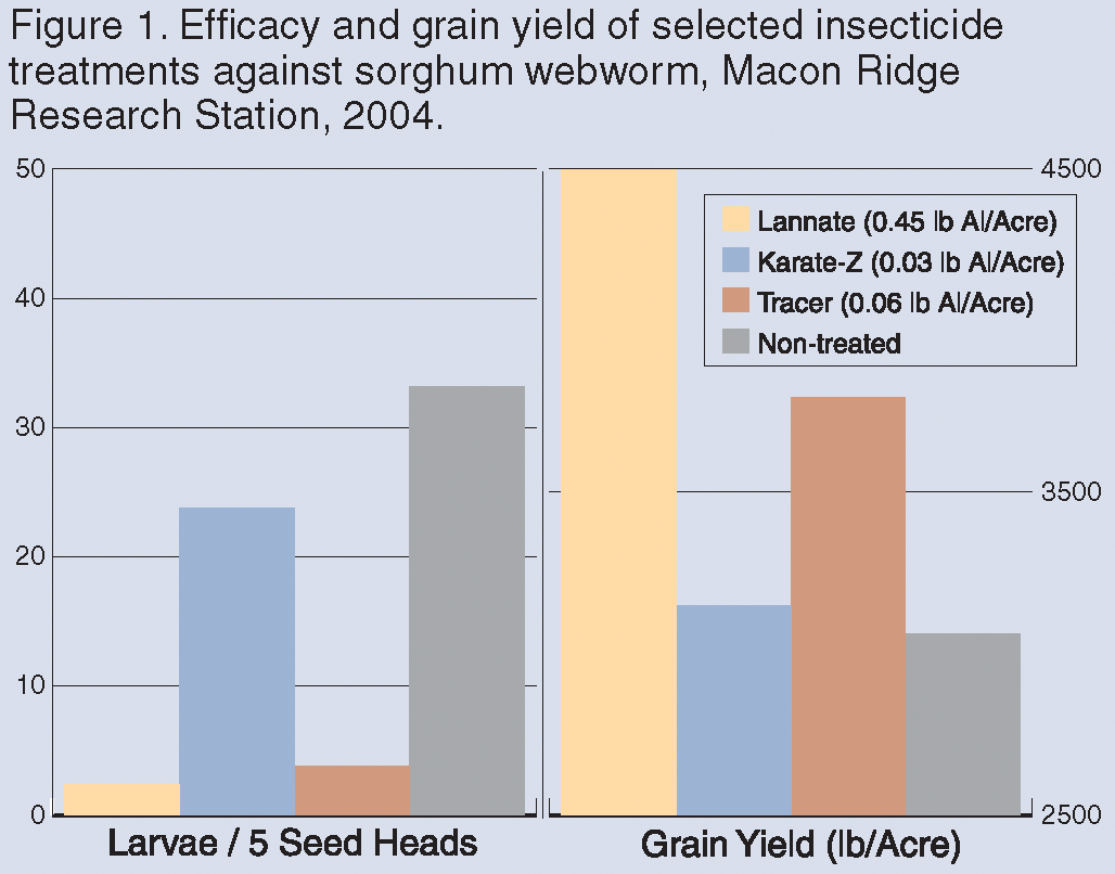New Recommendations to Control Sorghum Webworm in Grain Sorghum