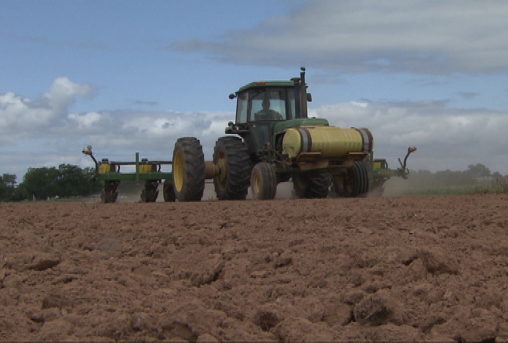 Soybean acreage growing