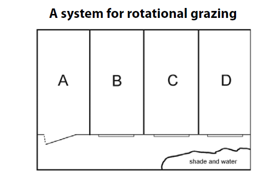 Rotational Grazing Pattern