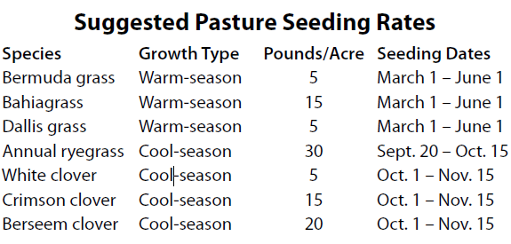 Horse Pasture Establishment and Management
