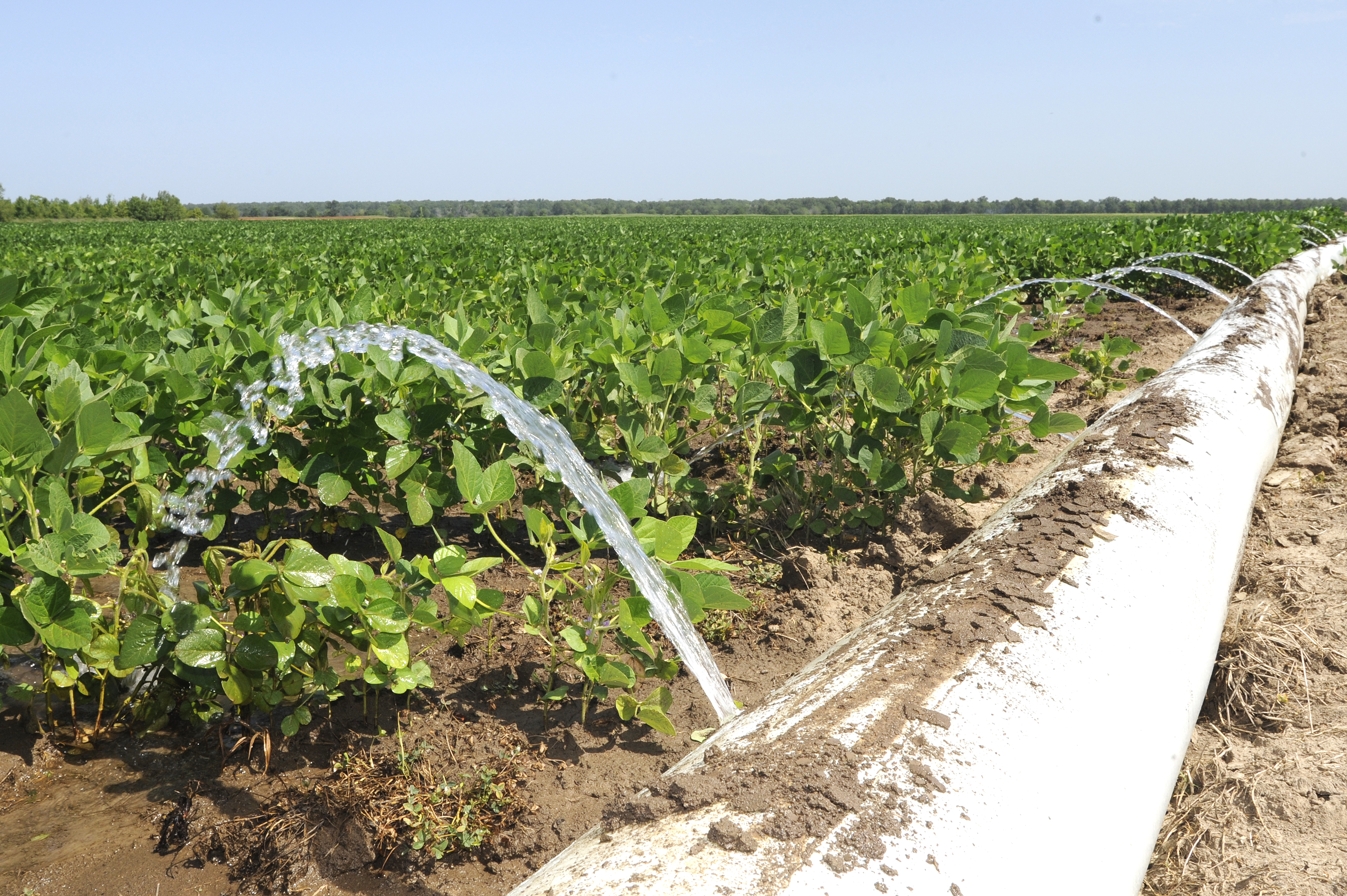 Water regulations suspended in Louisiana 