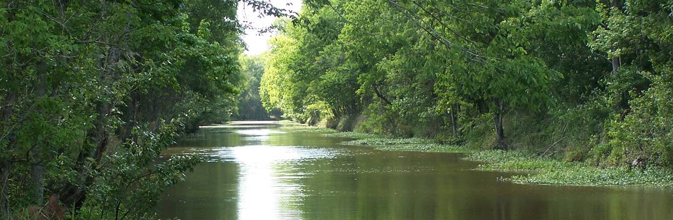 Wetlands