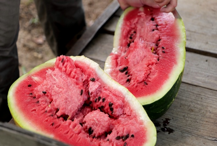 Beat the heat with an ice-cold watermelon