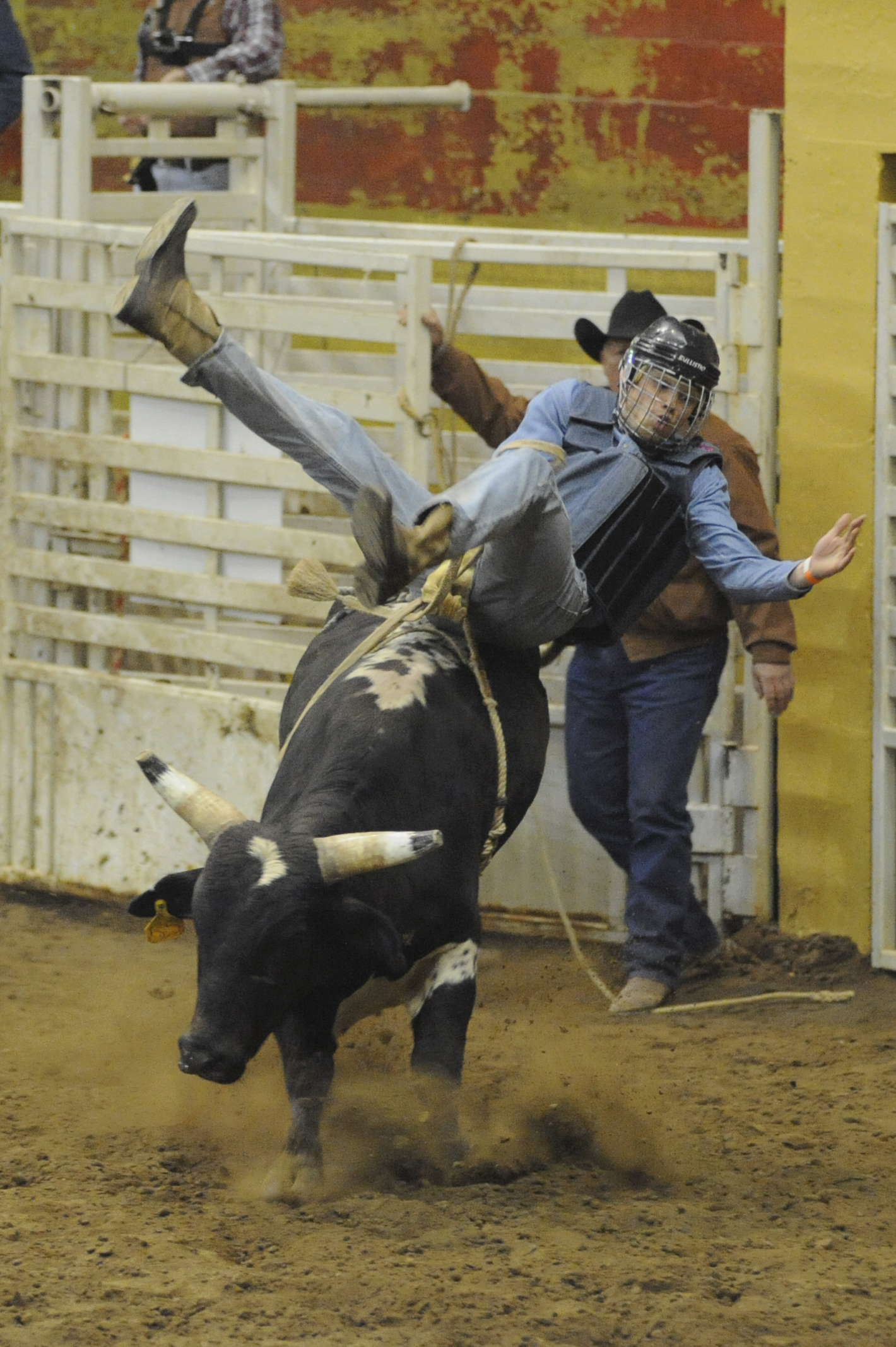 bull riding