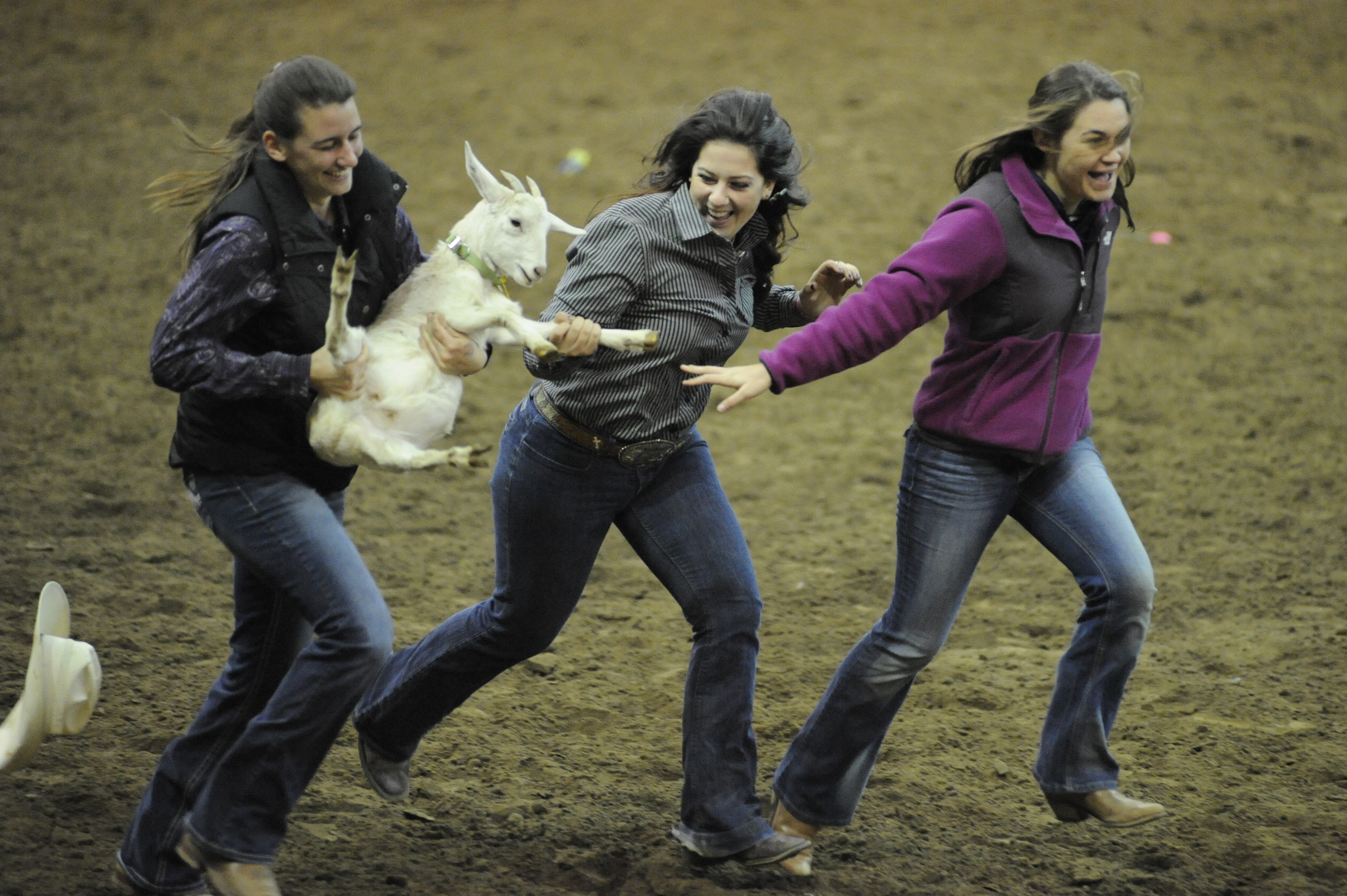 three girls and a goat