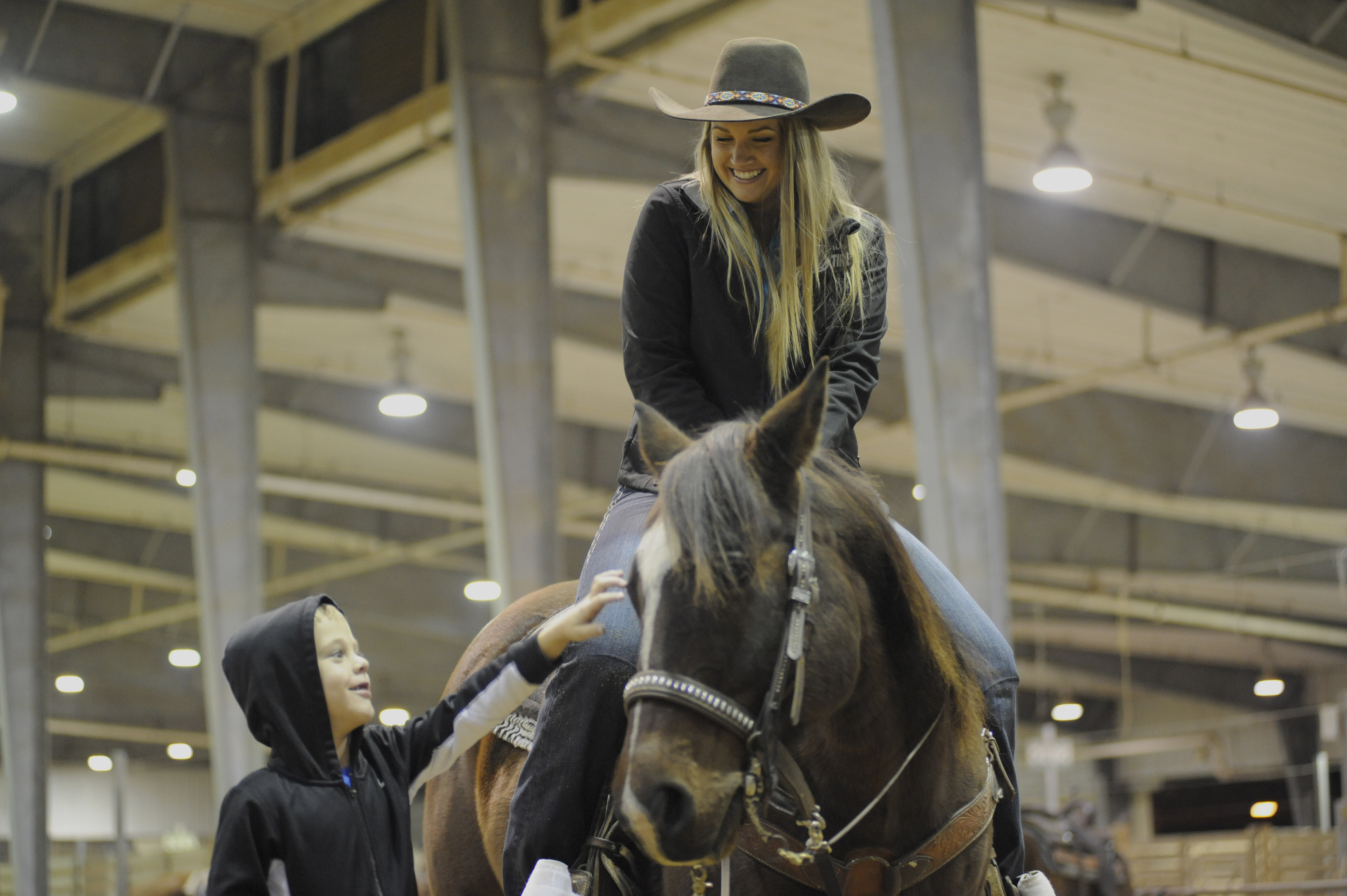 horse