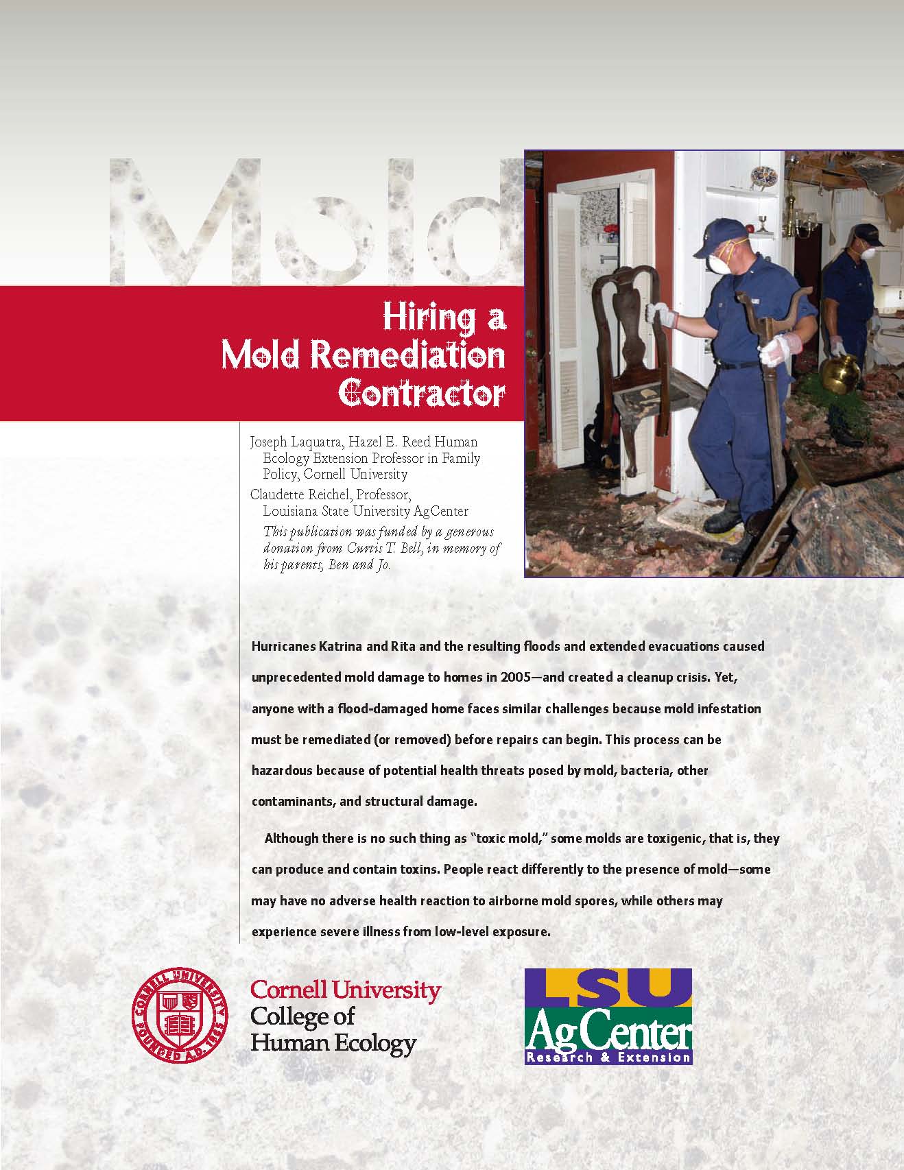 Hiring a Mold Remediation Contractor