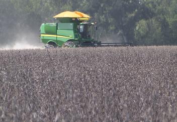 La. soybean harvest starts strong