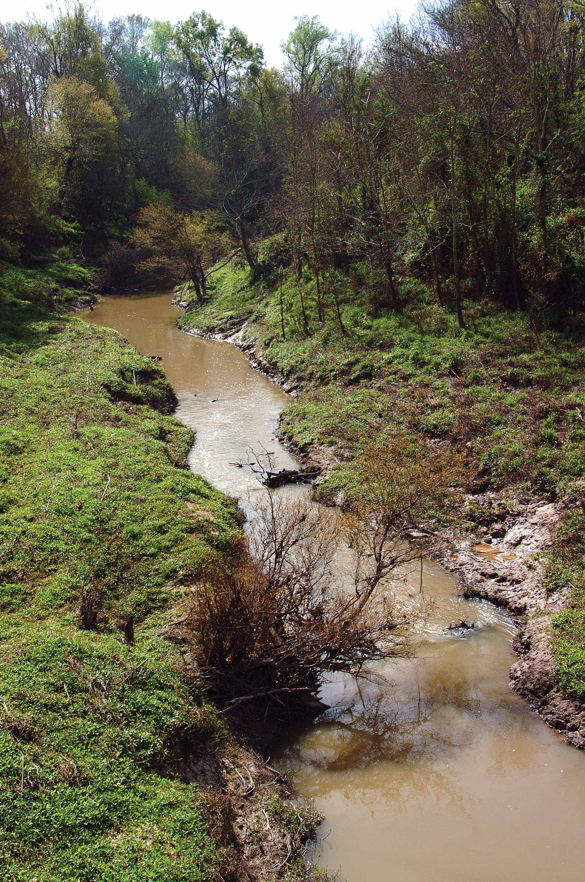 stream