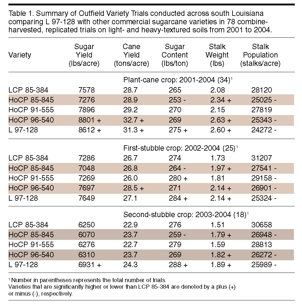 L 97-128 Helps Sustain Louisiana’s Sugarcane Industry