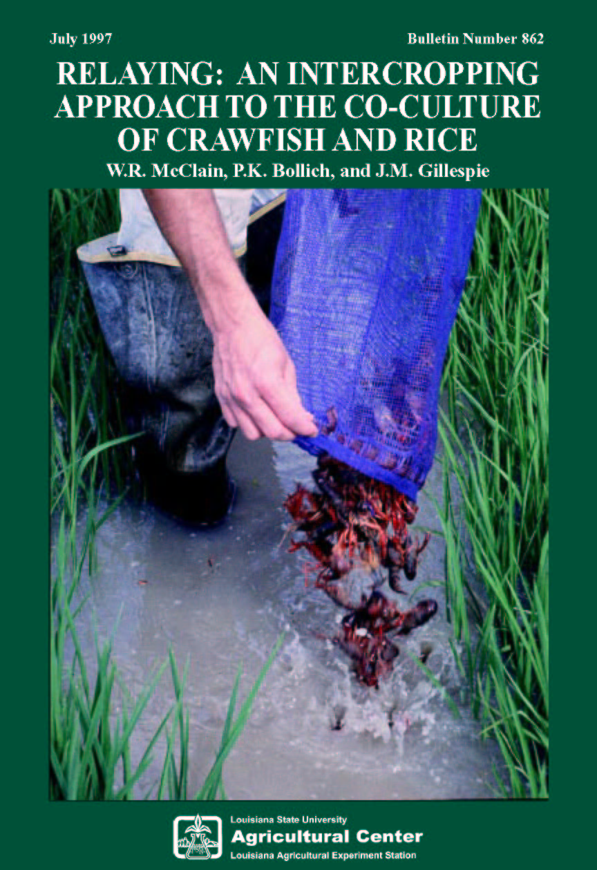 Relaying: An Intercropping Approach to the Co-culture of Crawfish and Rice (1997)