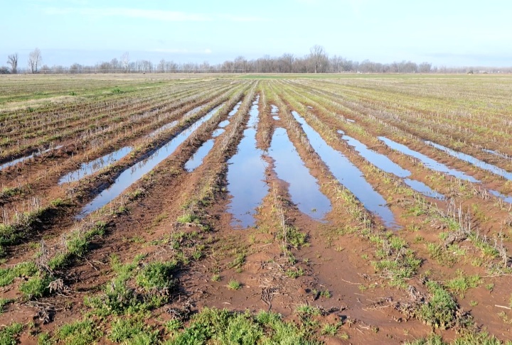 Much needed rain helpful, but more moisture needed to bust drought