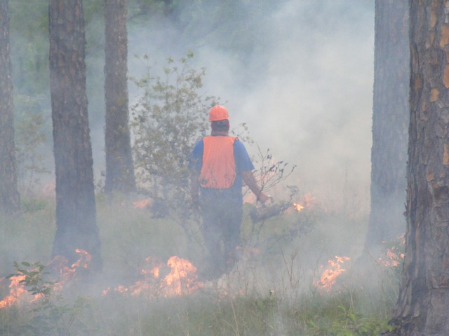 Prescribed Burning Workshop May 16th-18th, 2017