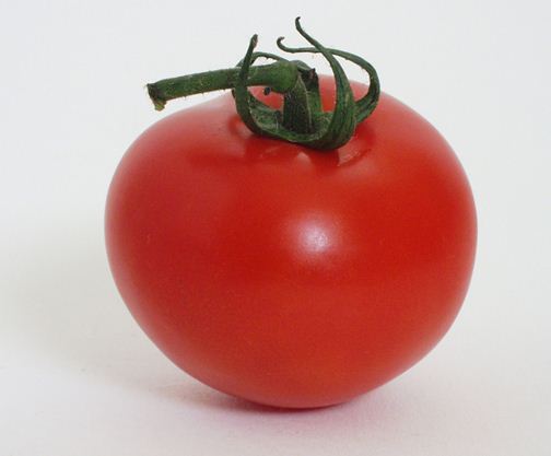 Top Ten Tomato Tips
