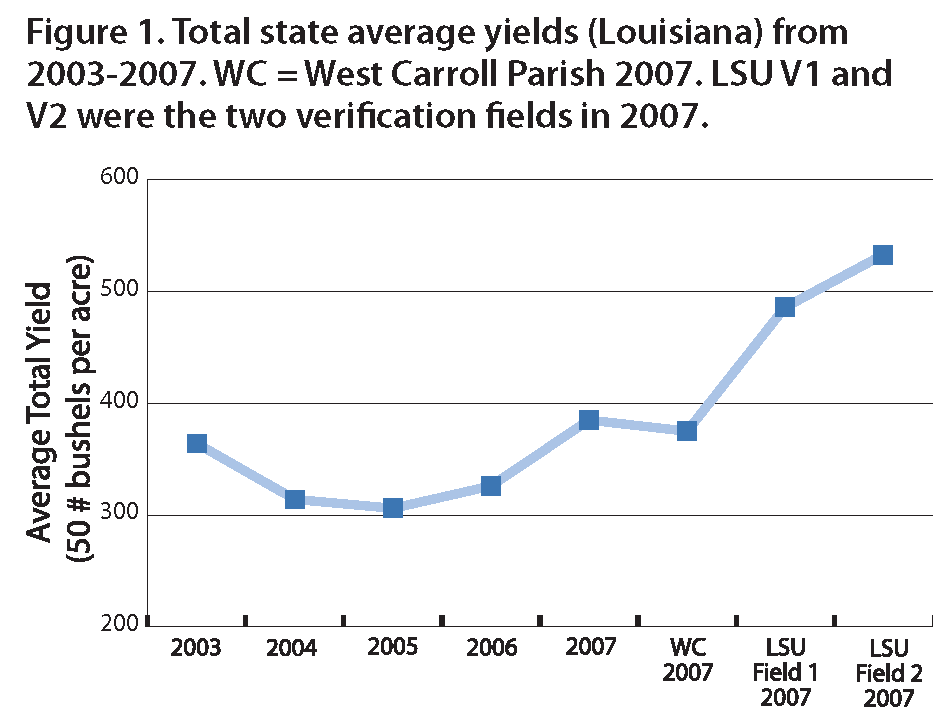 Research Verification Program for Louisiana Sweet Potato Production
