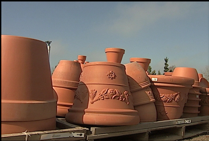 Terra cotta pots are attractive and durable in landscapes