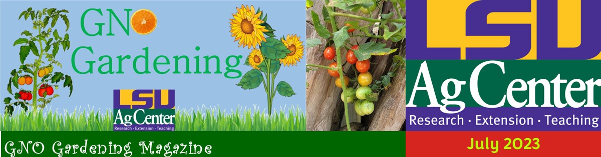 GNO Gardening Magazine - July 2023