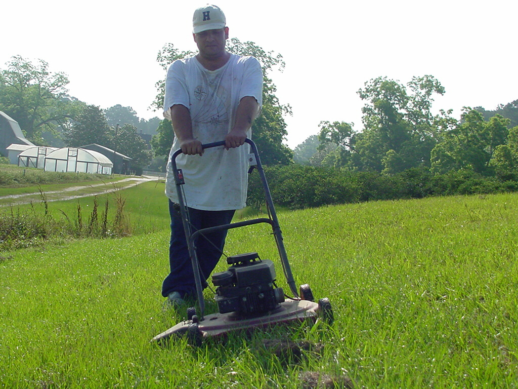 Safe Use of Lawnmowers