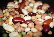 Bean There Done That
