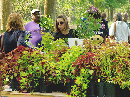 Master Gardener plant sale scheduled for March 26