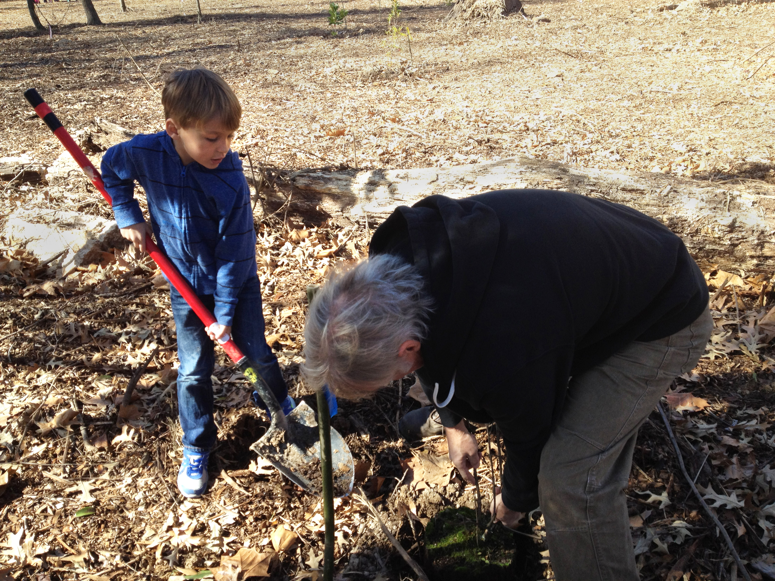 Celebrate 15 years of Arbor Day at Burden with the LSU AgCenter