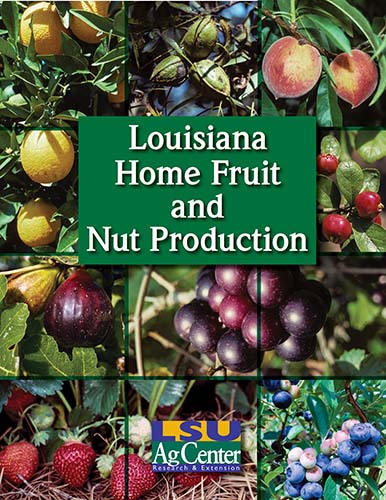 Louisiana Home and Fruit Production