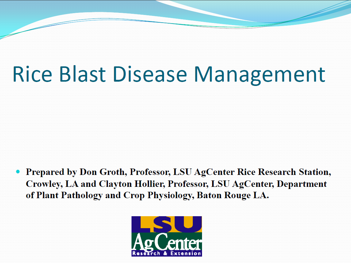 Rice Blast Disease Management