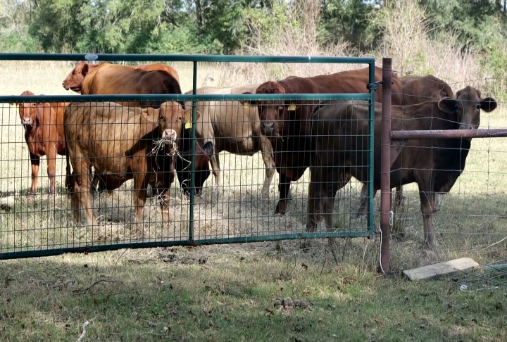 Sustainable agriculture tour highlights successful farms