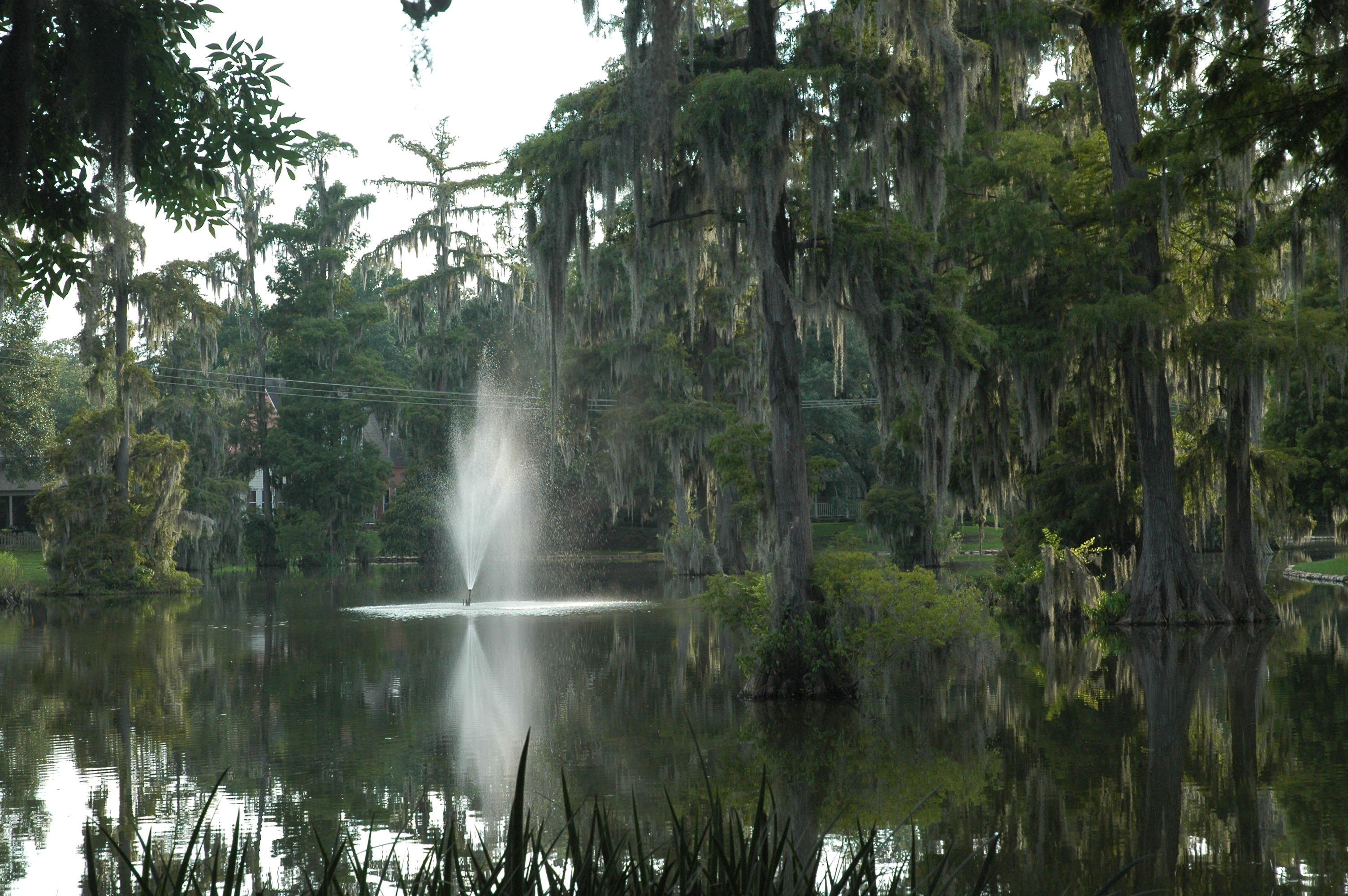 Ponds provide recreational opportunities, increase property values